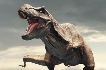 ティラノサウルス　前足